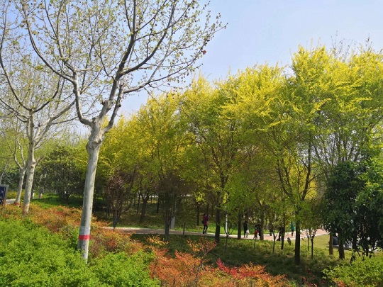 践行“绿水青山就是金山银山” 福州开展植树主题党日活动