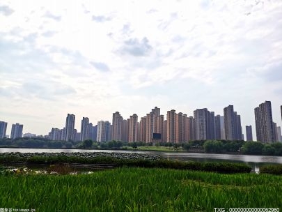 柳州唯一！鱼峰区获评2022年国家乡村振兴示范县创建名单